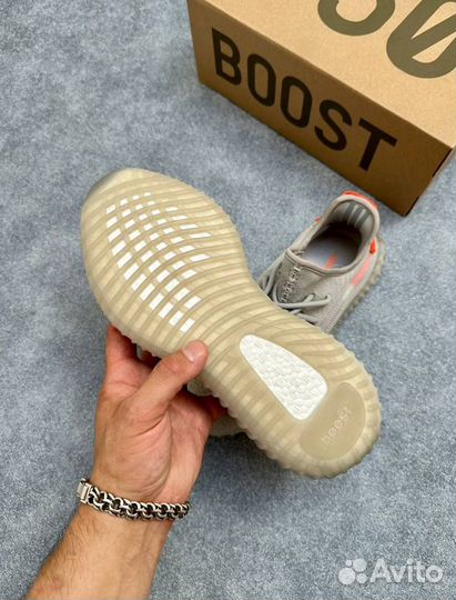 Кроссовки Adidas yeezy boost 350 v2 Tail Light