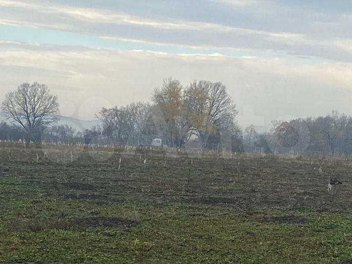 Участок 2 га (СНТ, ДНП)