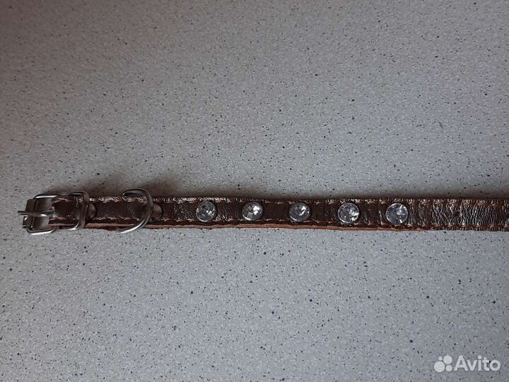 Ошейник для собачки