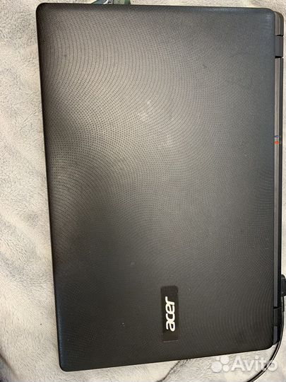 Acer extensa 2519