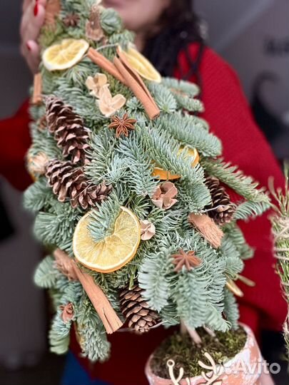 Флористическая елка из нобилиса