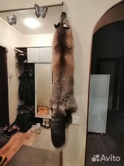 Шкурка животного