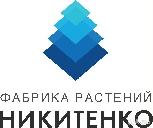 Бухгалтер