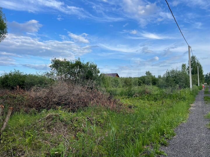 Участок 8,1 сот. (СНТ, ДНП)