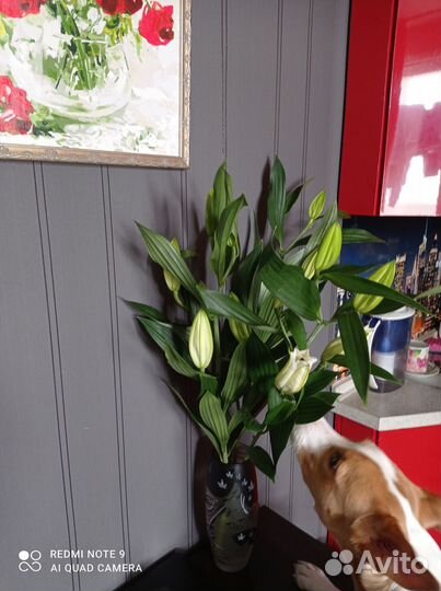 Вязка кабеля