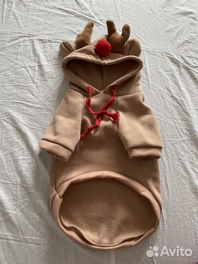 Костюм для собак