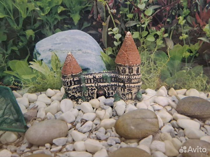 Аквариум с рыбками