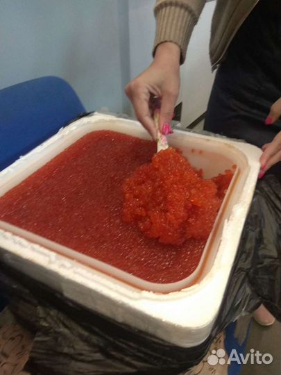 Икра красная 2023