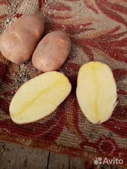 Продам картофель