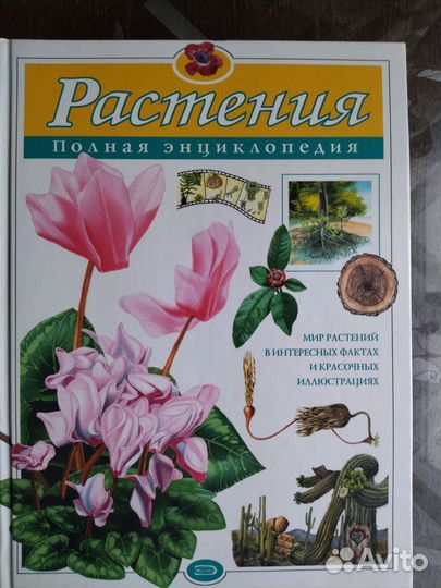 Энциклопедия 