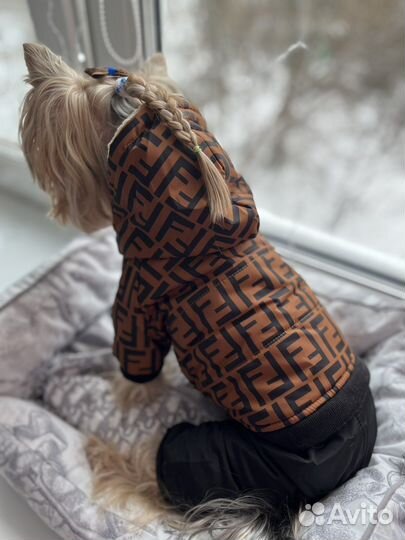 Комбинезон для собак /куртка Фенди/Луи vuitton