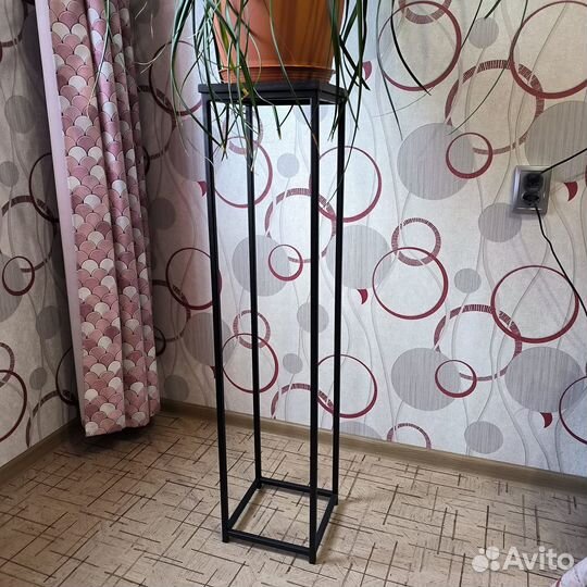 Цветок, Нолина или Бокарнея, вместе с подставкой