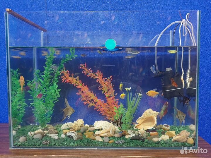 Украшение для аквариума