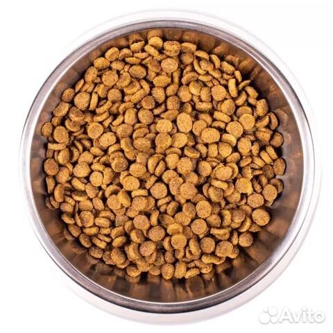 Monge корм для котят 10кг