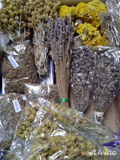 Дары полей,лесов,садов