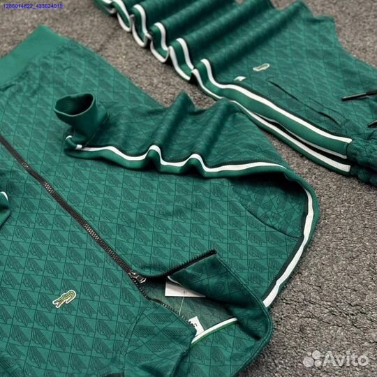 Спортивный костюм lacoste (Арт.85659)