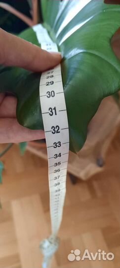 Карамель марбл зелёная