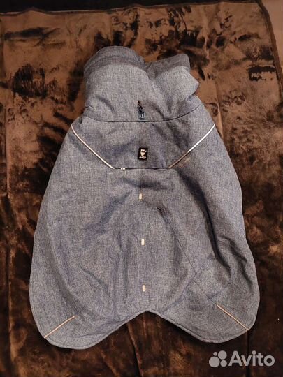 Одежда для средних собак