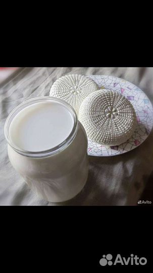 Козье молоко, сыр