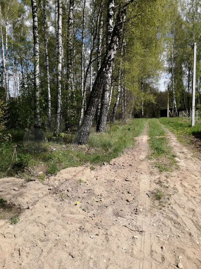 Участок 15 сот. (ИЖС)