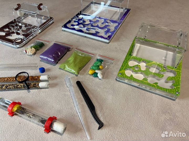 Муравьиная ферма новая с муравьями в комплекте