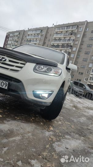 LED птф