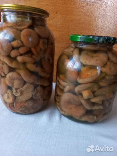 Грибы рыжики, грузди