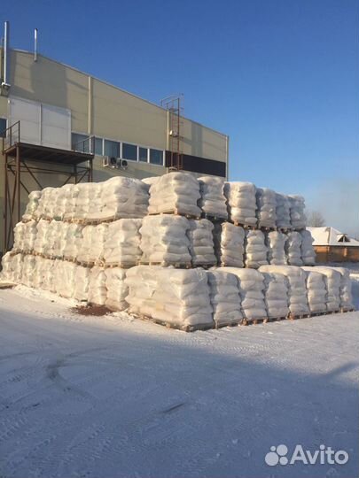 Скорлупа кедрового ореха