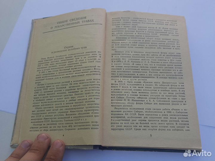 Растения здоровья, Крылов, Казакова, лагерь