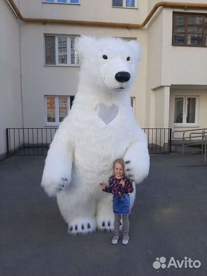 Поздравление Белый Мишка, Медведь на день рождения