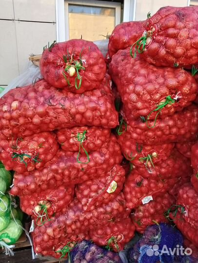 Лук на перо оптом