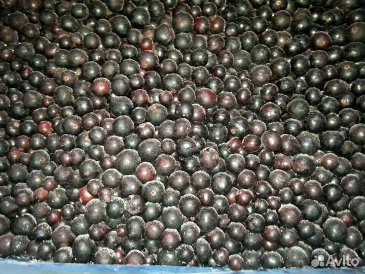 Ягода замороженная