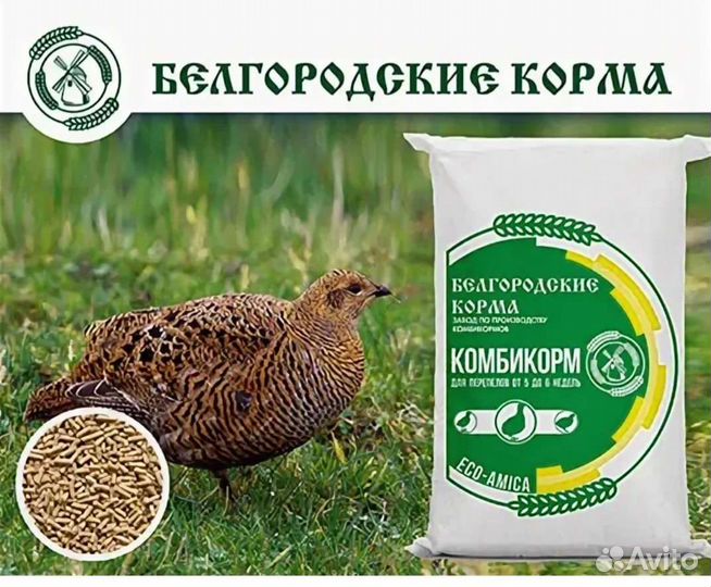 Белгородские корма, комбикорм (старт, рост, финиш)