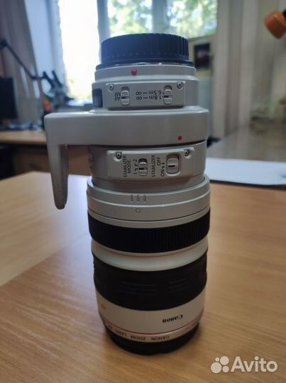 Canon EF 100-400mm f/4.5-5.6L IS USM