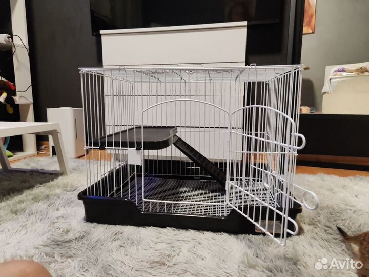 Клетка Новая