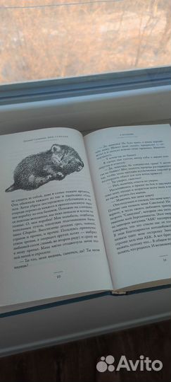 Дни Савелия книга