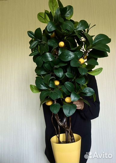 Искусственные цветы и деревья