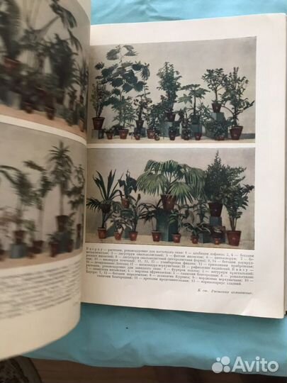 Краткая энциклопедия домашнего хозяйства