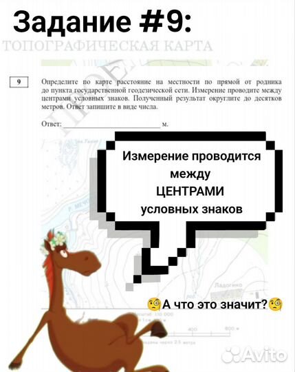 Репетитор по географии ОГЭ