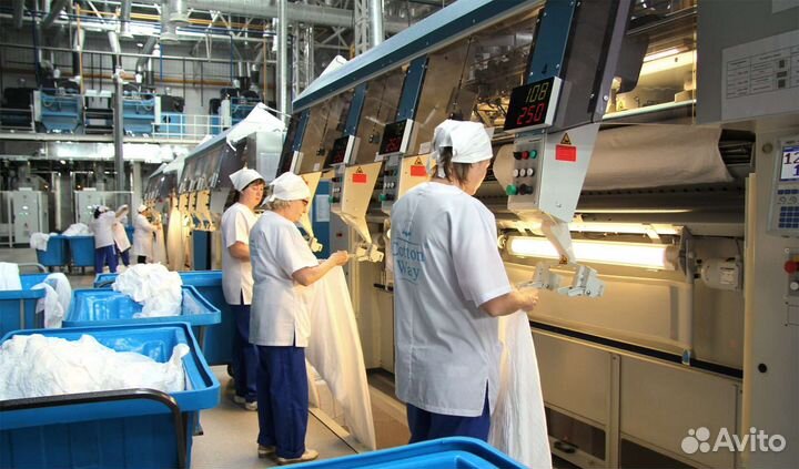 Сотрудники(цы) в гладильный цех