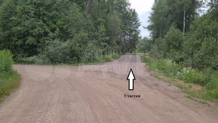 Участок 40 сот. (СНТ, ДНП)