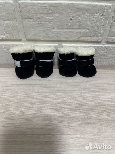 Обувь для маленьких собак