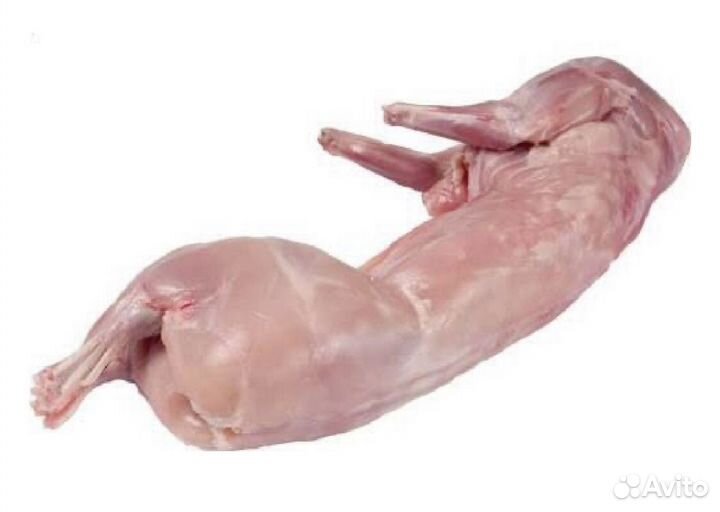 Мясо кролика