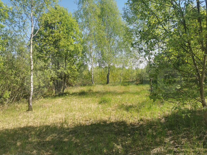 Участок 100 сот. (СНТ, ДНП)