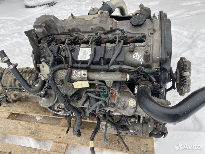 Двигатель 2.5 wl Ford Ranger Mazda BT-50