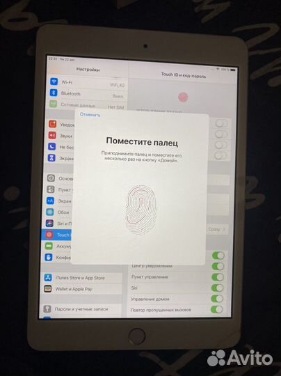 iPad
