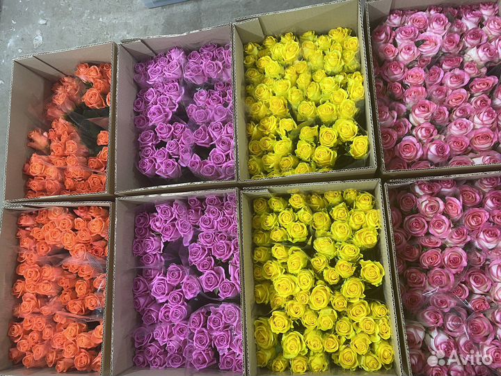 Менеджер на холодные звонки