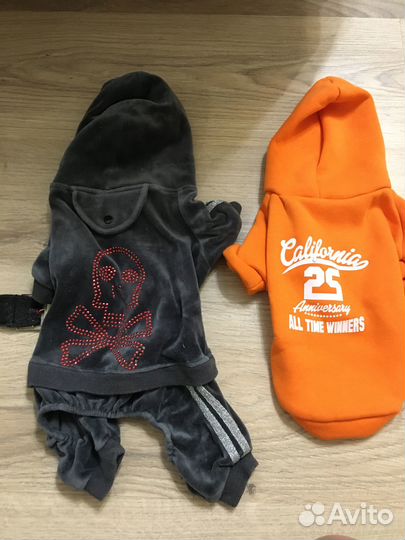 Одежда для маленьких собак