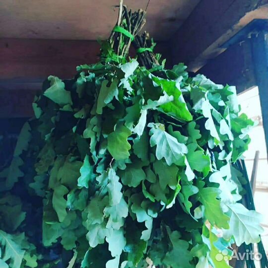 Веники березовые и дубовые для бани