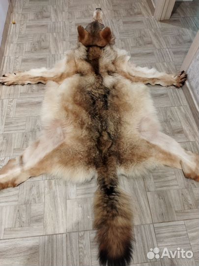 Продам шкуру